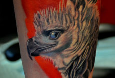 птица тату | bird tattoo